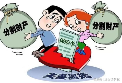 共同财产离婚时如何分配