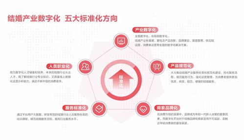 婚礼纪荣获2020金犀奖 集结全国商家，重塑结婚服务新价值