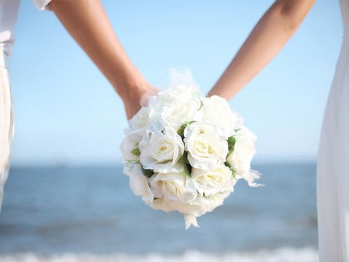 青岛市婚姻登记实现全城通办，提升便民服务水平